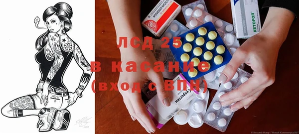 PSILOCYBIN Новокубанск