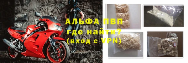 стаф Новозыбков