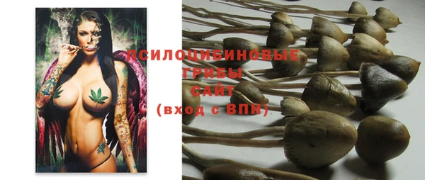 прущий лед Арсеньев