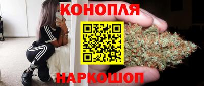 мяу мяу мука Нарткала