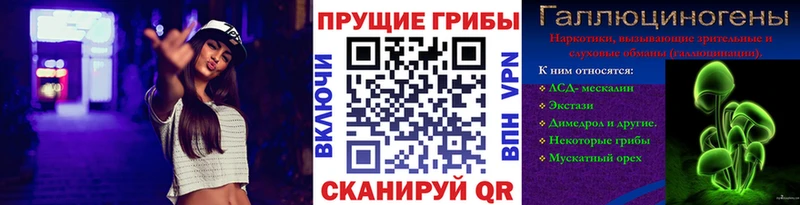 Псилоцибиновые грибы Psilocybine cubensis Каспийск
