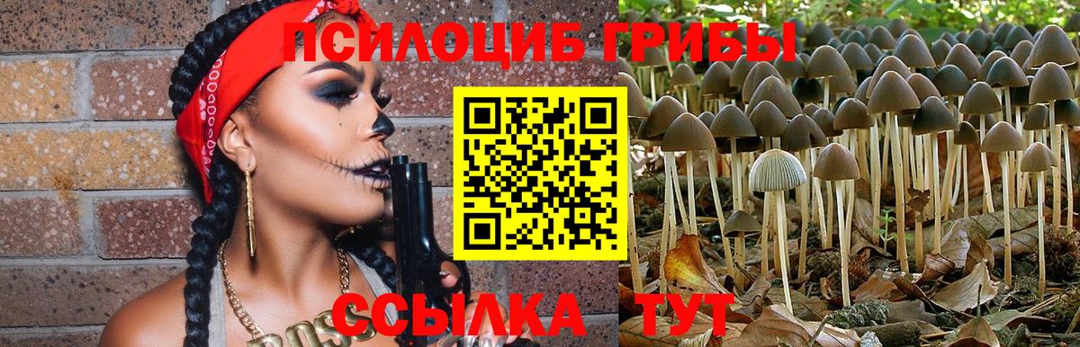 Каспийск  Галлюциногенные грибы Psilocybe  купить наркоту  Галлюциногенные грибы прущие грибы  Вход с VPN 
